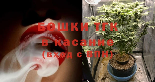 ешки Алексин